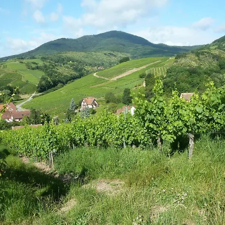 Schiefferberg * Bernardville