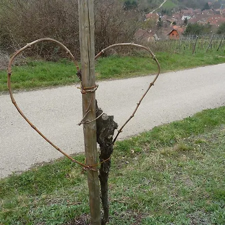 Casa de Férias Schiefferberg Bernardvillé