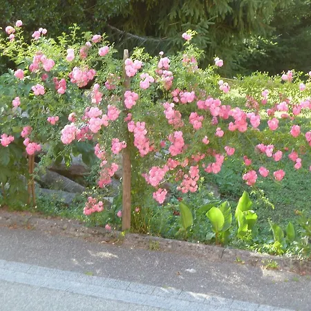 Schiefferberg בית נופש *