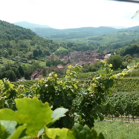 Schiefferberg Casa de Férias Bernardvillé