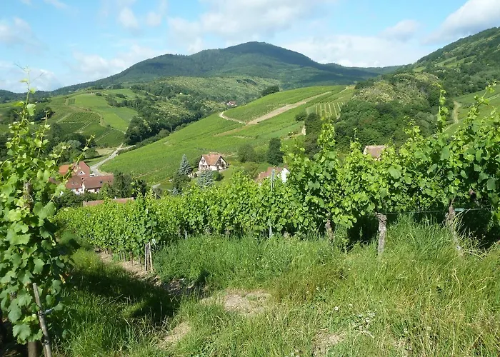 Schiefferberg * Bernardvillé